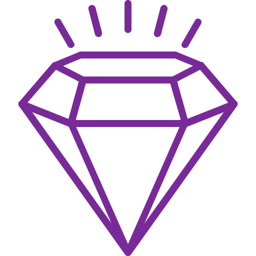 Premium Symbol Icon