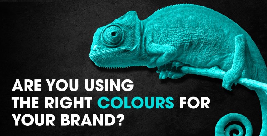 Colours For Branding-100